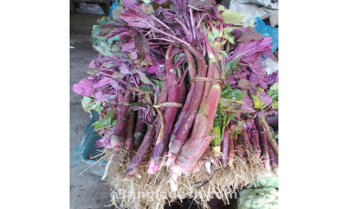 Stem Amaranth - 1 Kg