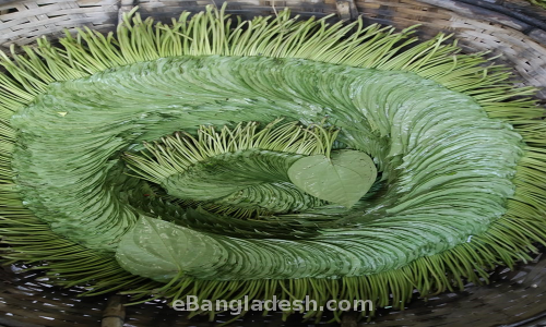 Betel Leaf (Big Size) - 1 Bera