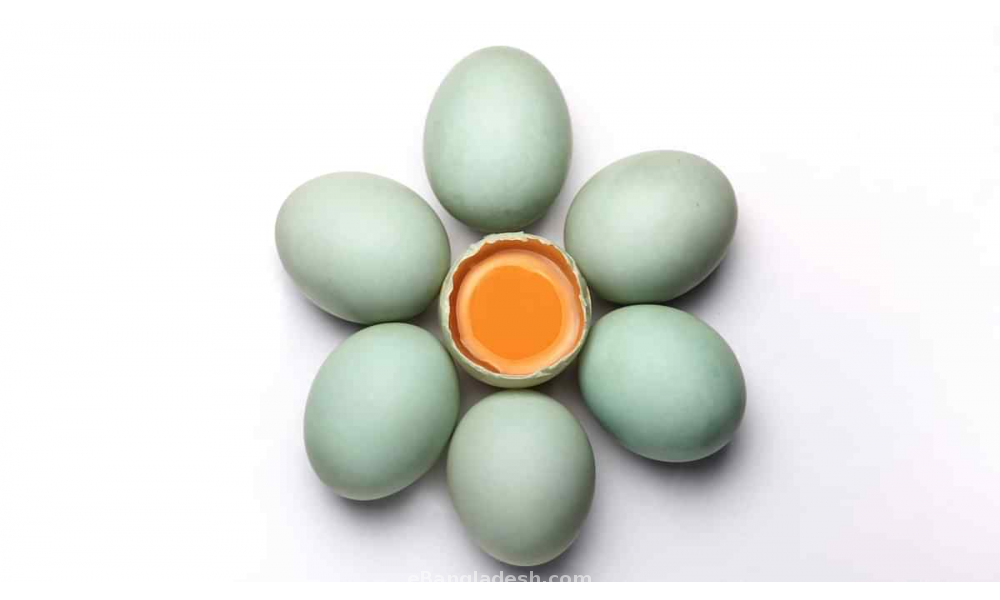 Duck Eggs 12 Pcs   22d579e0 8760 11ec B306 13adce76ae86 