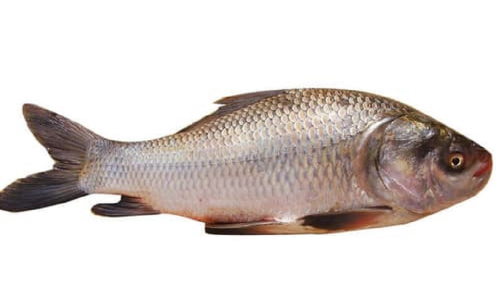 Silver Carp Fish - 1 kg