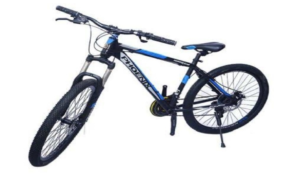 Phoenix Hurricane Bicycle 1 pc