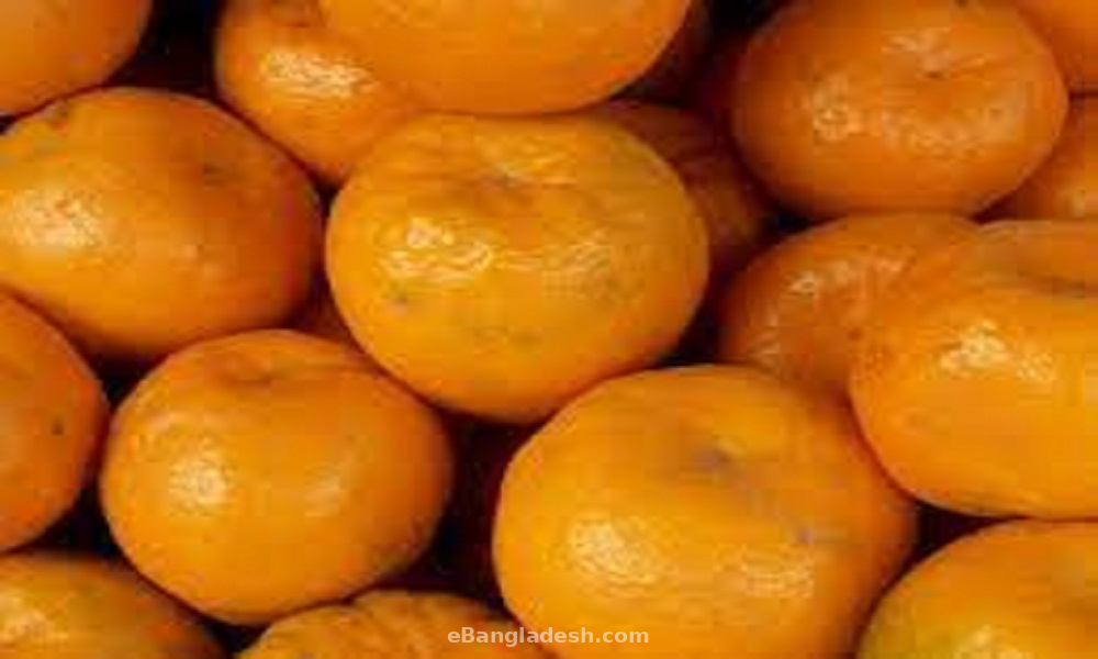 Maroc Orangen 5kg HKL 1