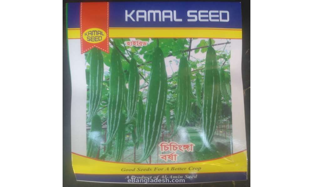 Hybrid Borsha Chichinga Seeds - 1 pack